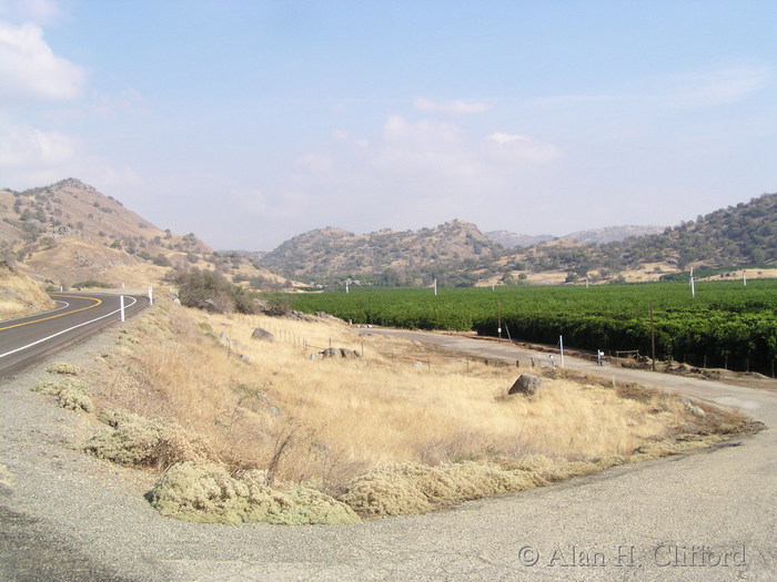 Driving towards Sequoia National Park