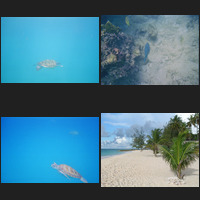 image montage