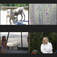 image montage