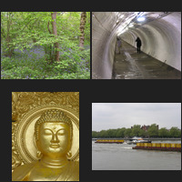 image montage