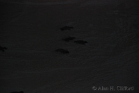 dsc_2475.jpg