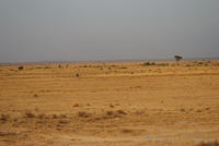 dsc_1365.jpg