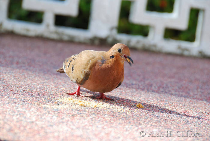 dsc_4838.jpg