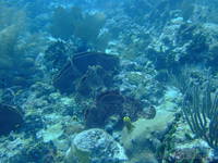 dscf1344.jpg