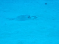 dscf1316.avi