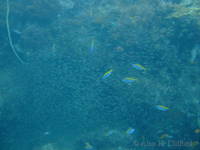dscf1084.jpg
