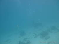 dscf1094.jpg