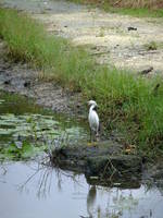 dscf3104.jpg