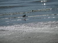 dscf2139.jpg