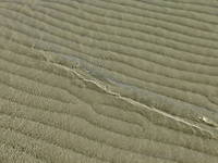 dscf2152.jpg