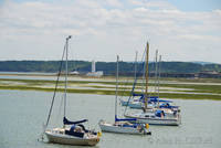 dsc_7117.jpg
