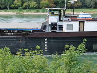 dscf3474.jpg