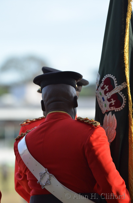ahc_4498.jpg