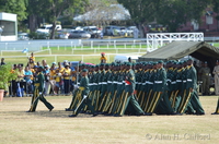 ahc_4525.jpg