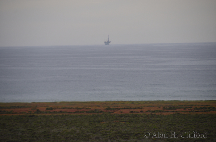 ahc_4008.jpg