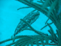 f200_3588.jpg