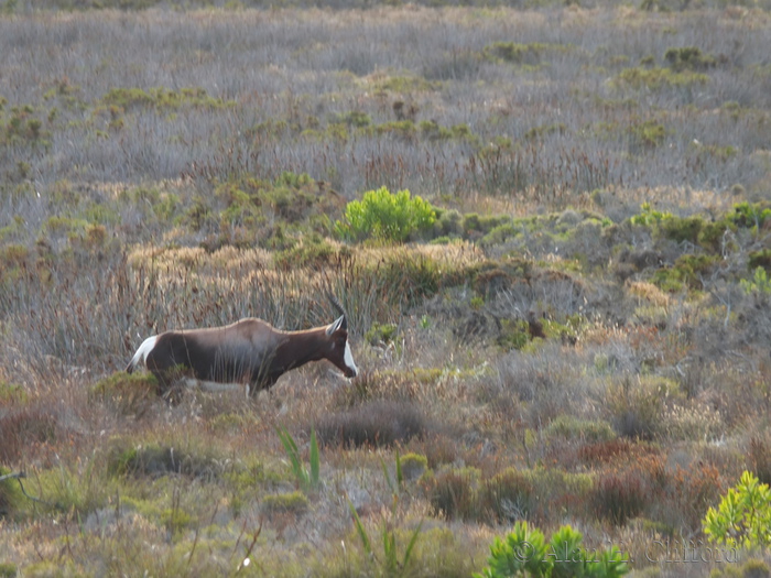 x-s1_3408.jpg