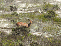 x-s1_3823.jpg